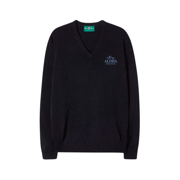 ALAN PAINE JERSEY HOMBRE ALBURY 139E46 DARK NAVY