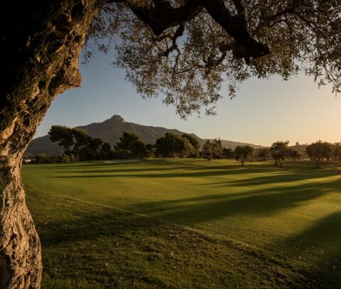 Campo del Aloha Golf Club al atardecer
